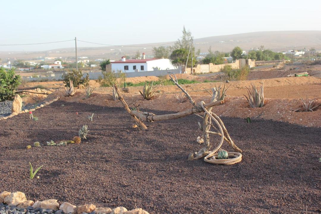 Photo of Others in Llanos de la Concepcion