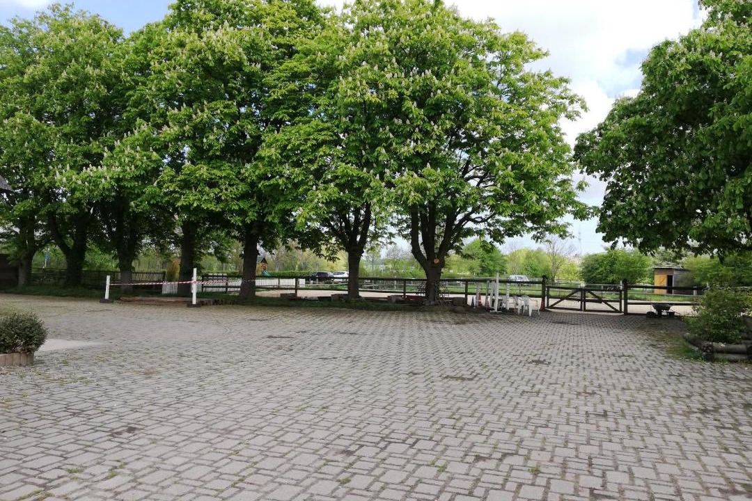 Photo of Others in Oldenburg in Holstein