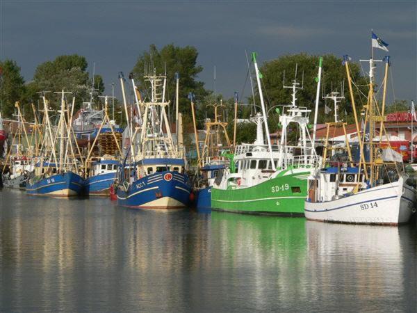 Photo of Others in Osterhever