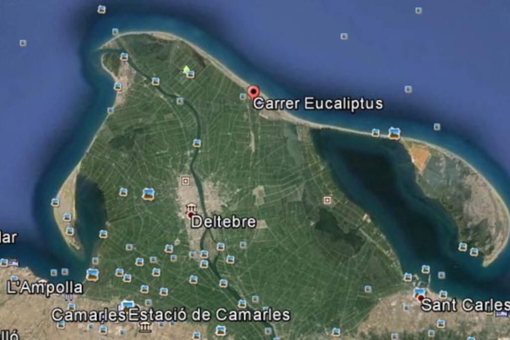 Photo of Others in L'Eucaliptus