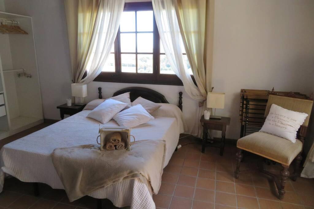 Photo of Bedroom in Fontanilles