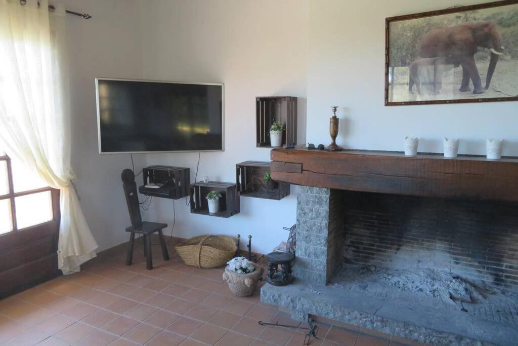 Photo of Livingroom in Fontanilles