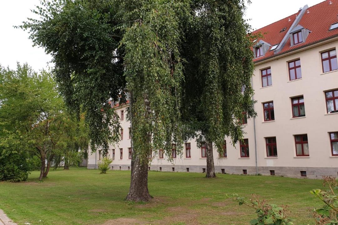 Photo of Others in Greifswald