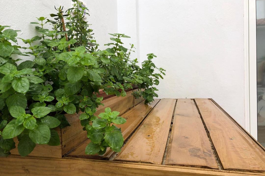 Photo of Patio Balcony in Puerto de la Cruz