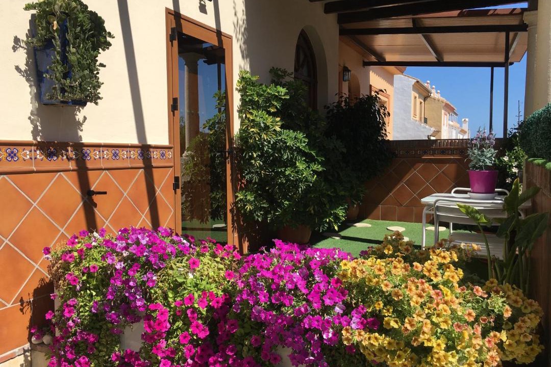 Photo of Patio Balcony in Las Lagunas