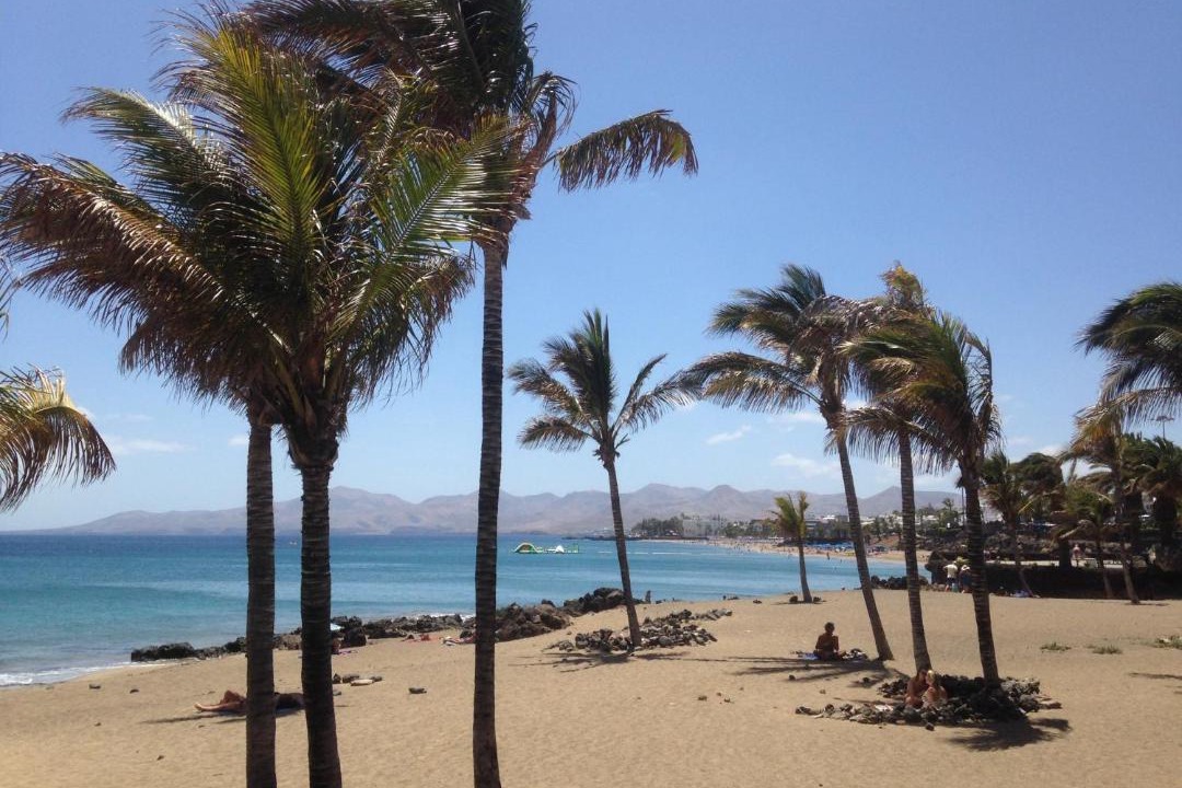 Photo of Outdoor in Los Mojones