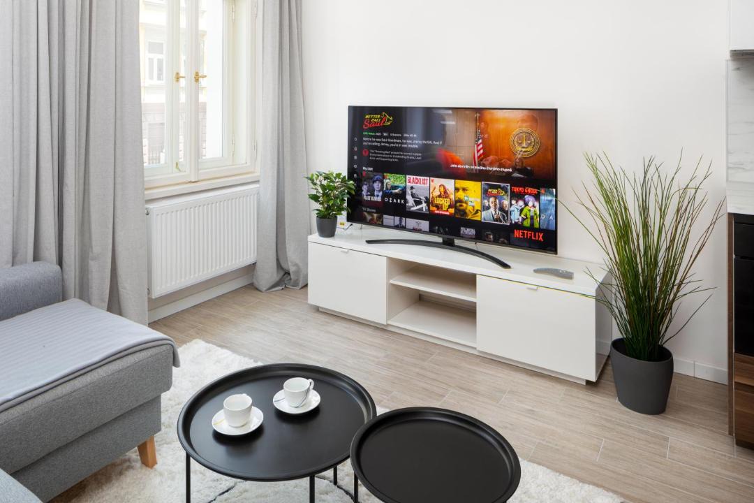 Photo of Livingroom in Nusle