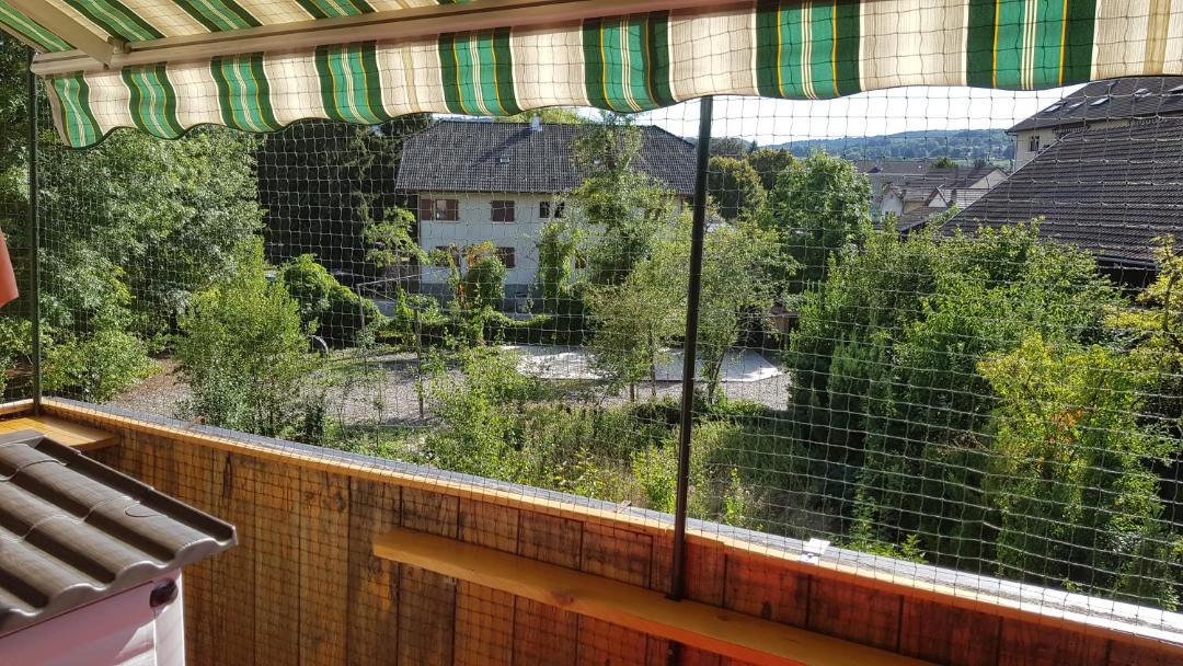Photo of Others in Reignier-Esery