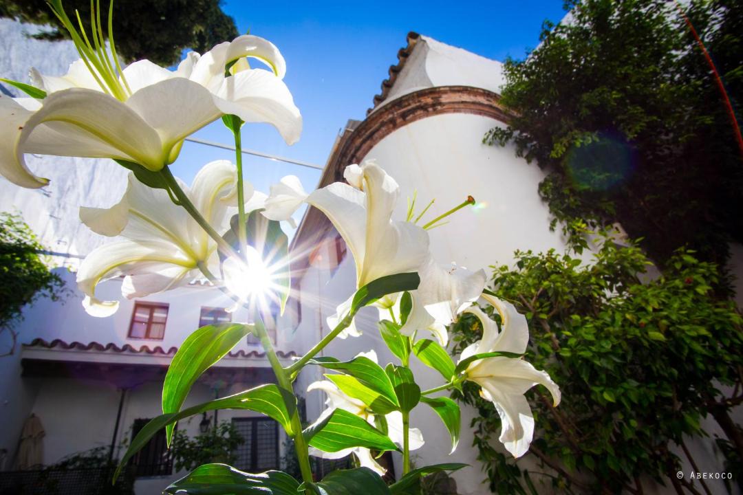 Photo of Outdoor in San Vicente