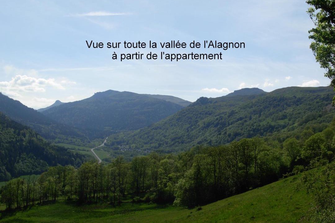 Photo of Others in Laveissiere