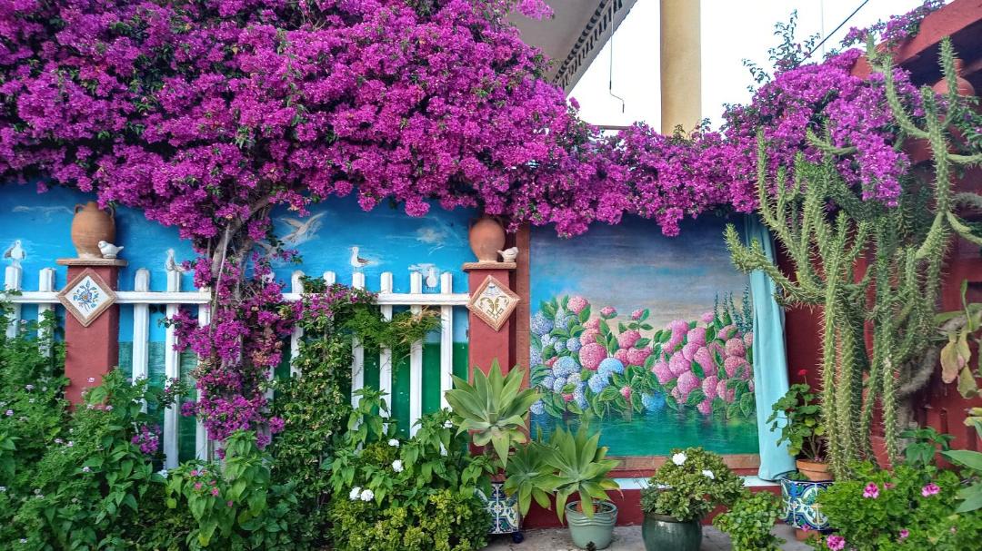 Photo of Others in Burriana