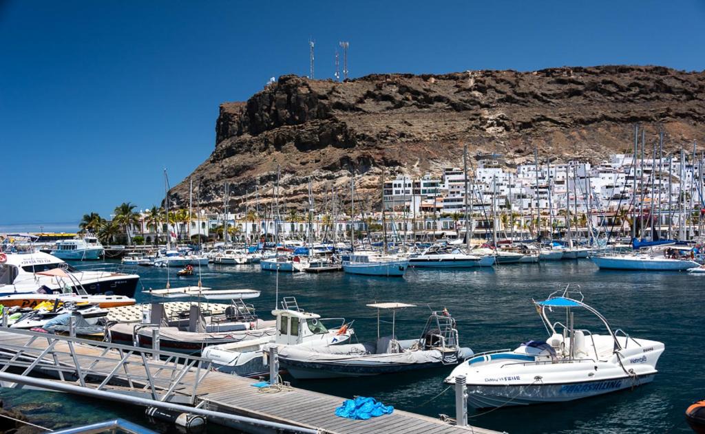 Photo of Others in Playa de Mogan