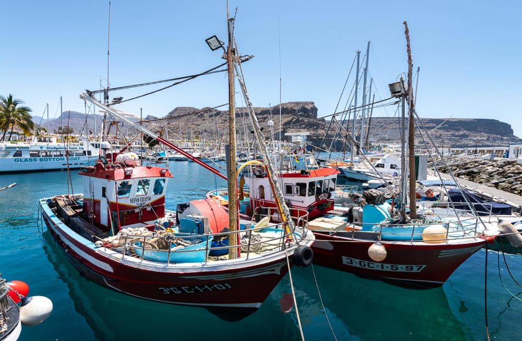 Photo of Others in Playa de Mogan