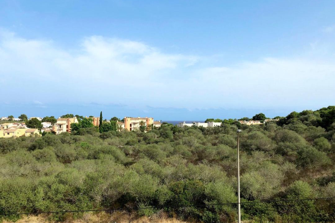 Photo of Others in Cala Mandia