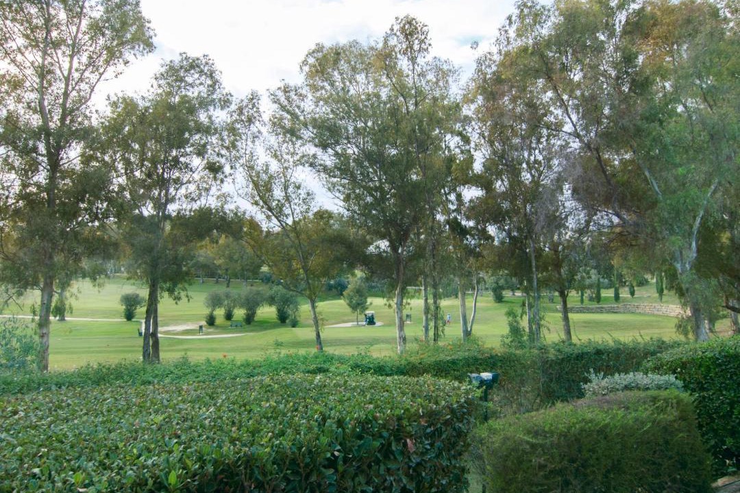 Photo of Outdoor in New Golden Mile