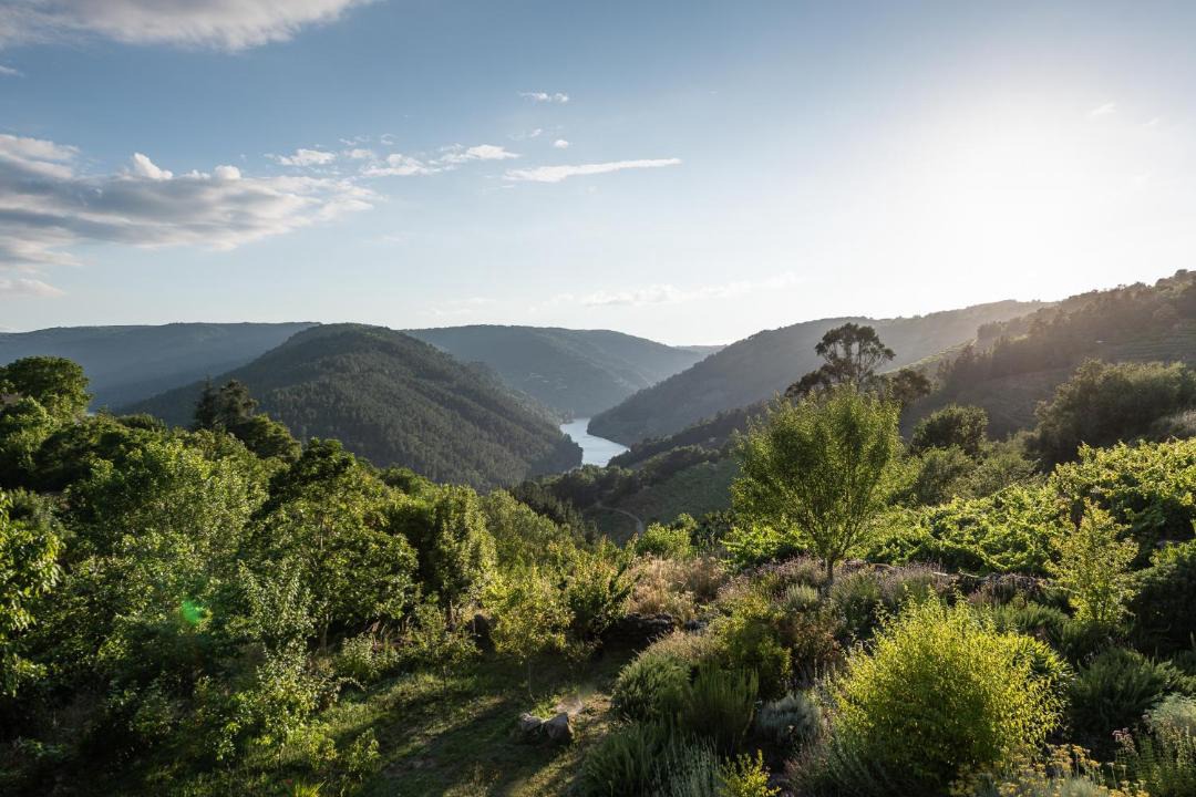 Photo of Outdoor in Fion