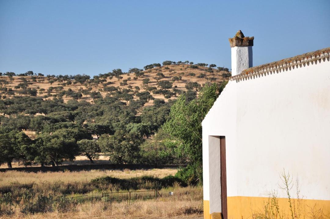 Photo of Others in Puebla del Maestre