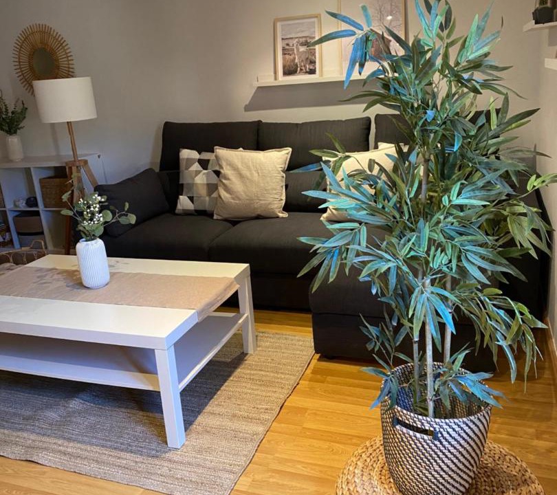 Photo of Livingroom in Santo Domingo de la Calzada