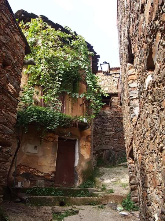 Photo of Others in Ovejuela