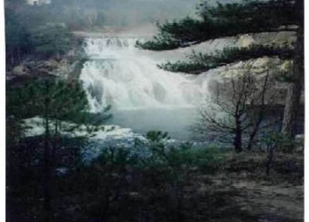 Photo of Others in Taravilla