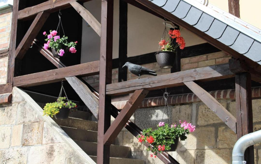 Photo of Patio Balcony in Seeland