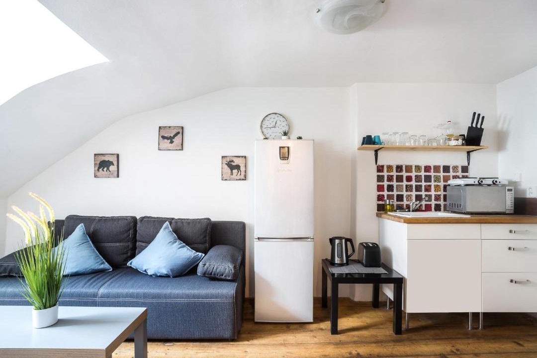 Photo of Livingroom in Prague 1