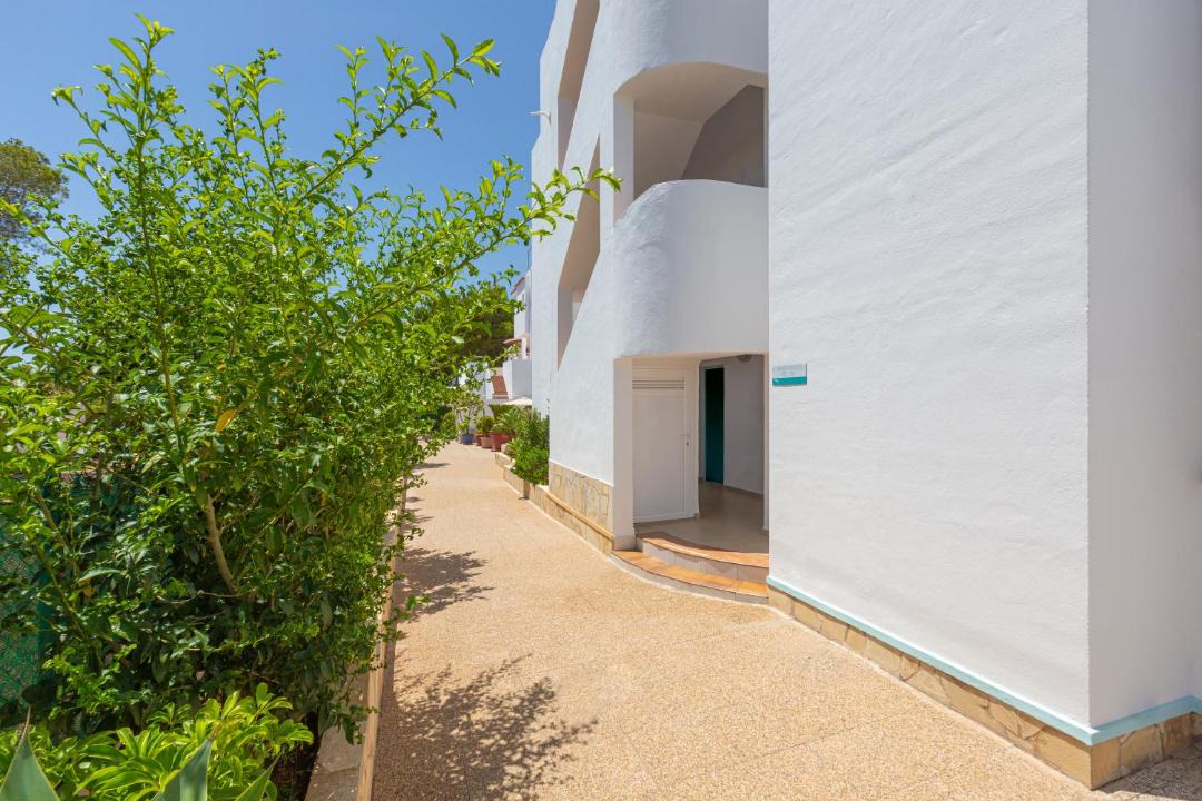 Photo of Others in Cala Pada