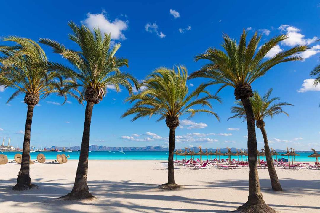 Photo of Others in Alcudia