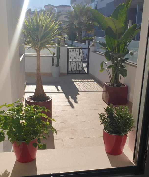 Photo of Others in Orihuela Costa