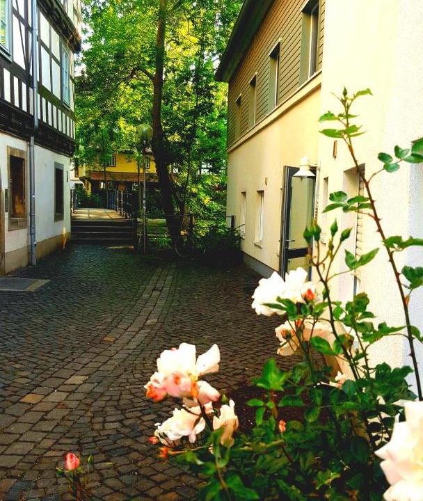 Photo of Others in Erfurt Old Town