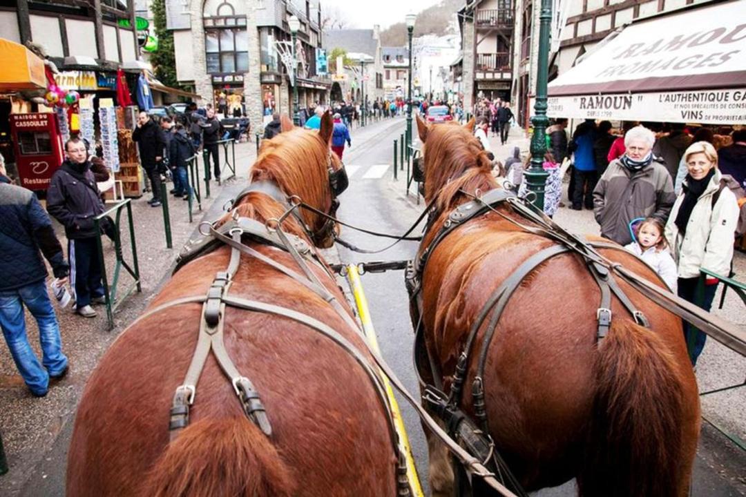 Photo of Others in Saint-Lary-Soulan