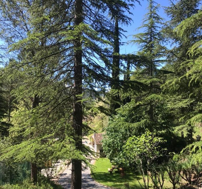 Photo of Outdoor in Sant Llorenc de la Muga