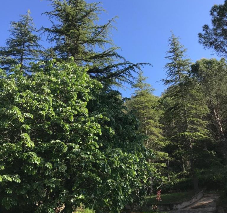 Photo of Outdoor in Sant Llorenc de la Muga