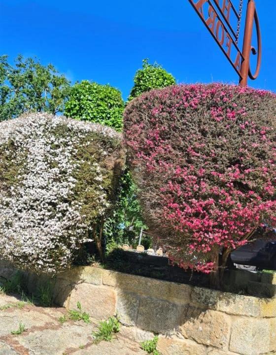 Photo of Buildings in Nogueira de Ramuin