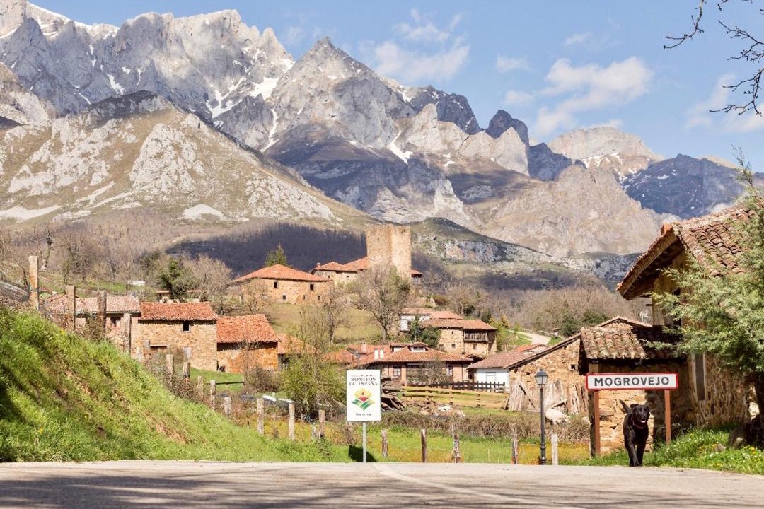 Photo of Buildings in Mogrovejo