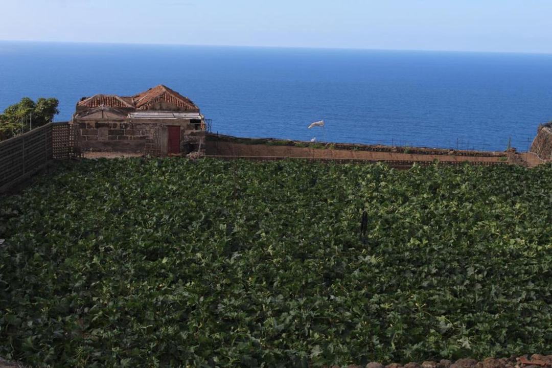 Photo of Others in La Mancha