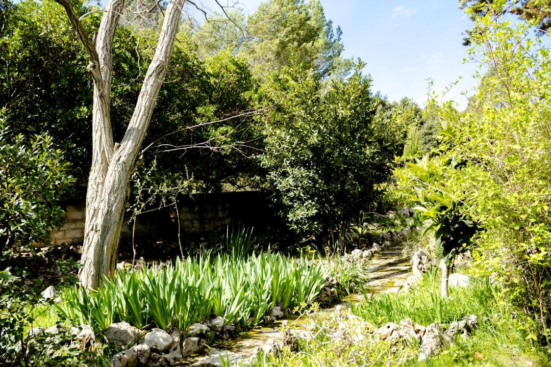 Photo of Outdoor in Lluc