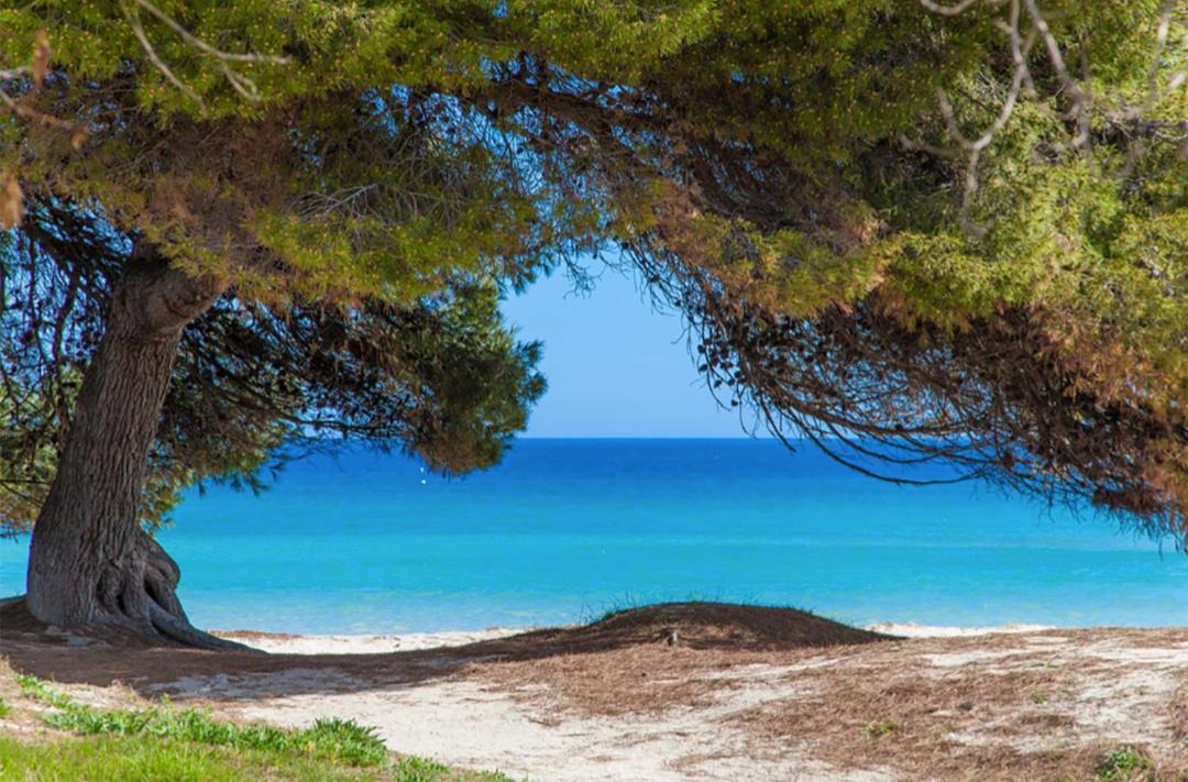 Photo of Outdoor in Alcudia