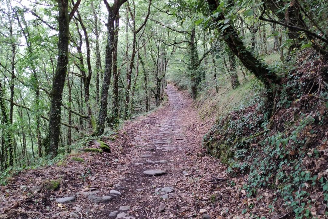 Photo of Others in Santo Estevo de Ribas de Mino