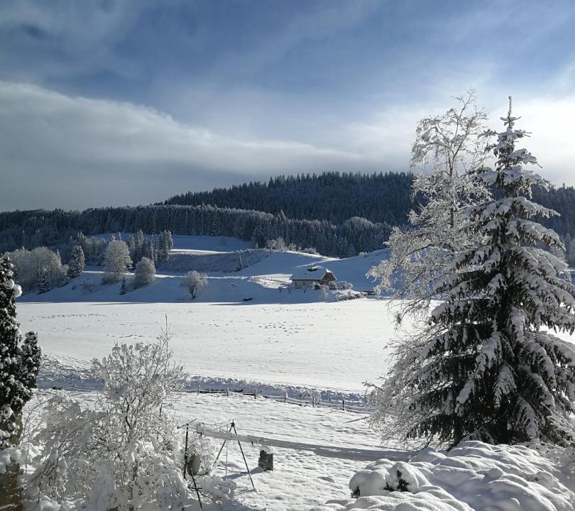 Photo of Others in Chaux-Neuve