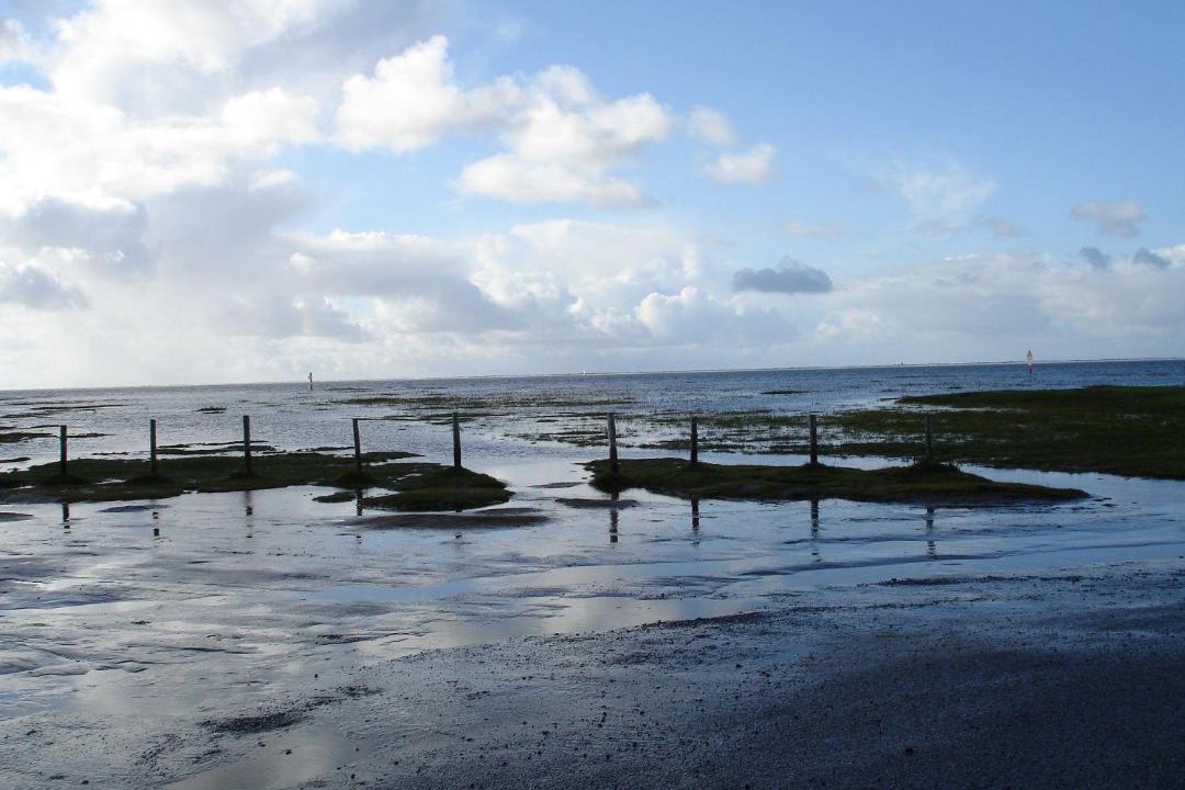 Photo of Others in St. Peter-Ording