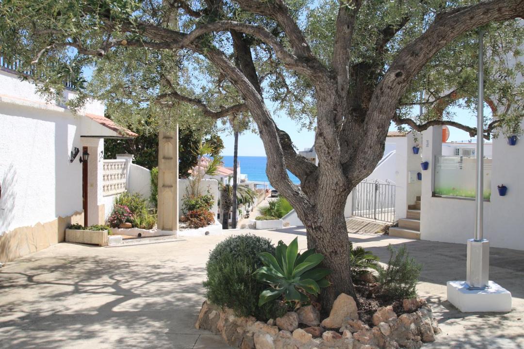 Photo of Buildings in Miami Platja