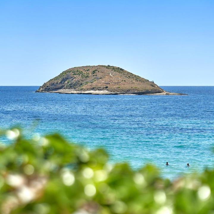 Photo of Others in Torrenova