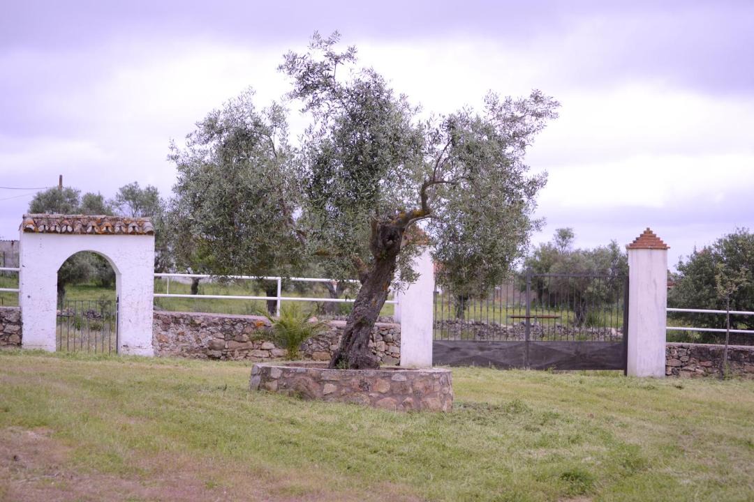 Photo of Buildings in Casar de Caceres