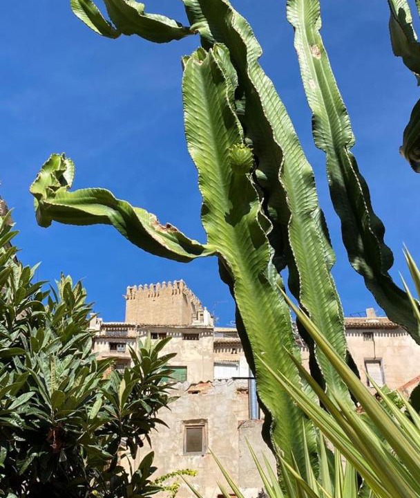 Photo of Others in Moratalla