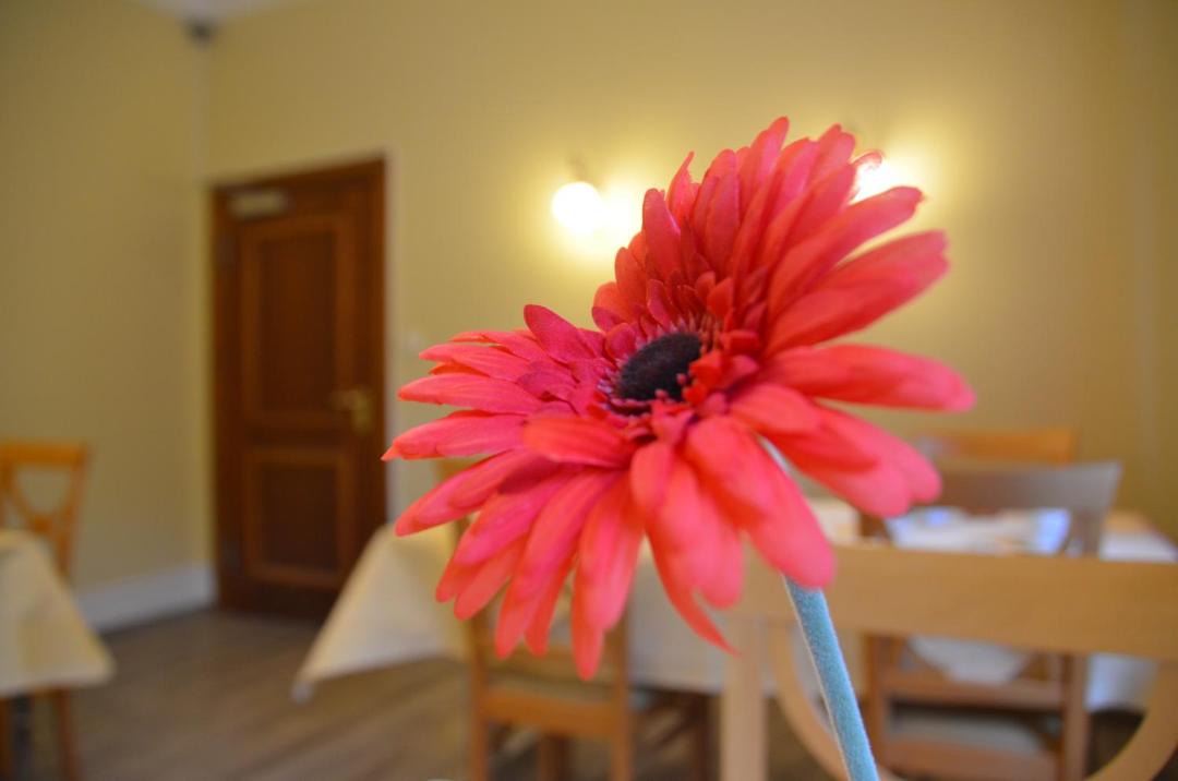 Photo of Others in Bad Homburg v.d. Hoehe