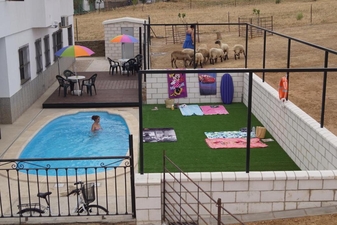 Photo of Others in Torrejon El Rubio