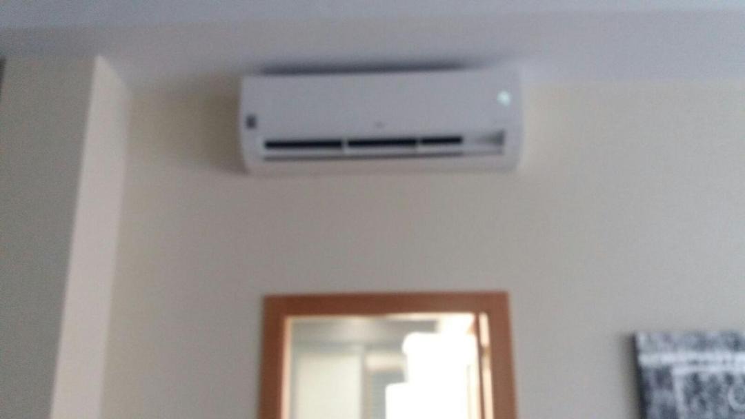 Photo of Others in Daimuz