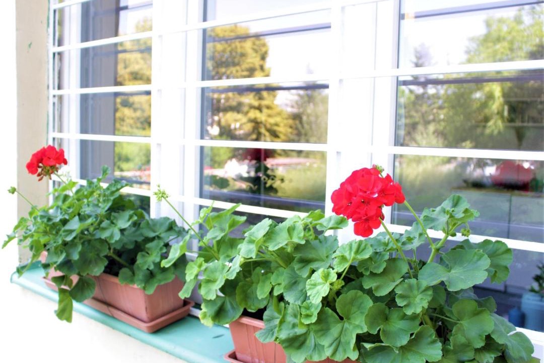 Photo of Patio Balcony in Brevnov