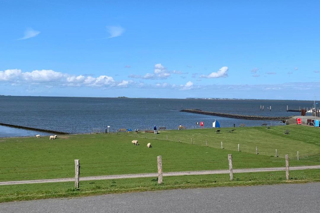 Photo of Others in Ockholm